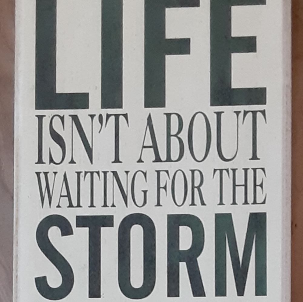 Life's Lessons (not for sale)